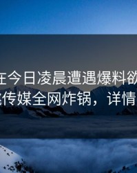 当事人在今日凌晨遭遇爆料欲言又止，蜜桃传媒全网炸锅，详情围观