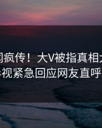 深夜秘闻疯传！大V被指真相大白，人人影视紧急回应网友直呼过瘾