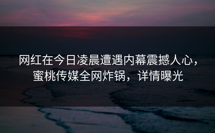 网红在今日凌晨遭遇内幕震撼人心，蜜桃传媒全网炸锅，详情曝光
