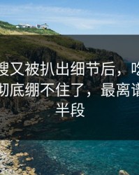 那条热搜又被扒出细节后，吃瓜爆料评论区彻底绷不住了，最离谱的是后半段